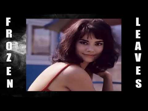 download lagu mp3 mp4 Track 17, download mp3 Track 17 free download, download mp3 Track 17