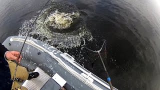 Рыбалка в карелии летом на спиннинг