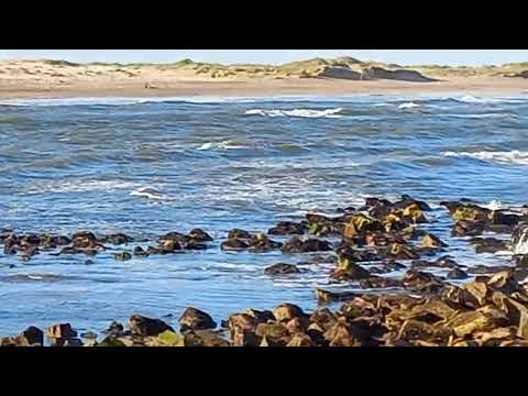 ENTRADA DEL MAR, EN LA ALBUFERA MAR CHIQUITA, PESCA DE LENGUADO