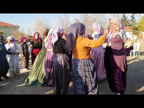 Türkiyem MÜZİSYEN Özlem Ökten AKŞEHİR düğünleri Çakıllar mahallesinden Ramazan Berkcan & Havva Baş