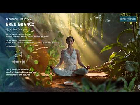 Som vibracional da árvore do Breu Branco I Frequência para meditação.