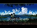 Ishq Bhi Tu Hai Pyar Bhi Tu Hai | (Slowed+Reverb)