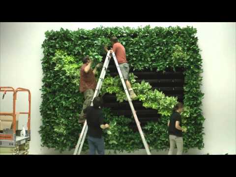 Wall of Life Foliage Designs Systems 2 Living Green Walls