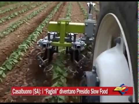 Casalbuono (SA): i Fagioli diventano Presidio Slow Food
