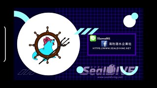 魚槍基本操作分享(Salvimar Hero 烙前導線篇一)