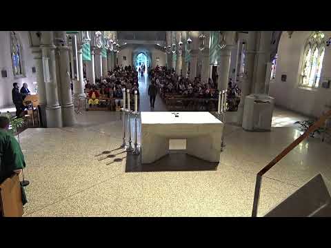 (2019-07-14) July 14, 2019 Mass for the 15th Sunday in Ordinary Time