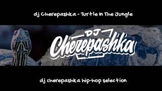 Download lagu dj Cherepashka Turtle In The Jungle... mp3