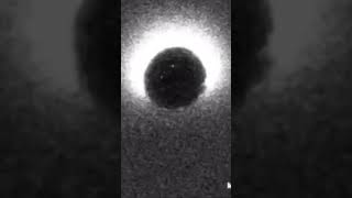 There&#39;s a flash at the moment of conception