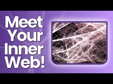 The Hidden Power of Fascia: How It Transforms Healing