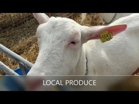 Not Quite a Chateau DIY in France -No. 6 - Gite 2 plans -  a Chateau - and a Karaoke Sing Song