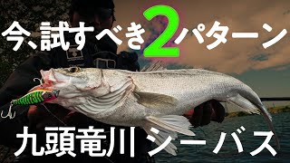 【シーバス/九頭竜川】秋の河川で試すべき2パターン / 馬場啓輔