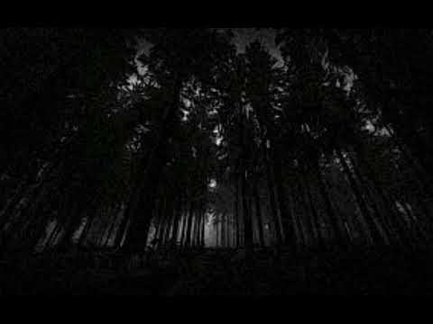 Chrome (Whitenoiseremix) By JaceBèu