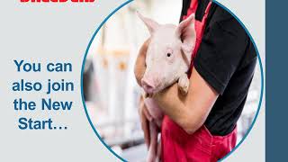 Presæntataion Breeders of Denmark  on seminar BKK Thailand May 31,2019