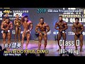 Men's Bodybuilding (D組 80-90kg) IFBB Asia Pro Qualifier Taiwan 2019 健美[4K]
