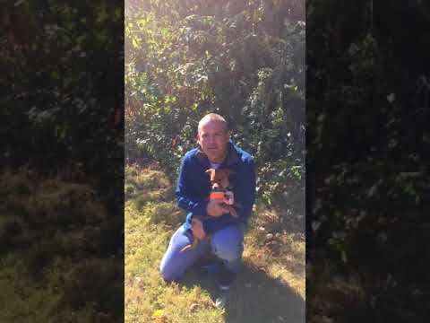 Coco's video