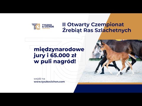 LIVE 🔴 🐎 II OTWARTY CZEMPIONAT ŹREBIĄT RAS SZLACHETNYCH | RADZIONKÓW | TC EQUESTRIAN 21.08.2021