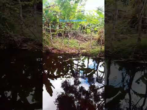 Iraporanga povoado de Iraquara Bahia chapada Diamantina