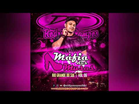 MÁFIA DAS MUSAS VOL.06 (MEGAFUNK) - DJ RODRIGO CAMPOS