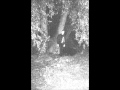 Bilskirnir - Lost Forever 