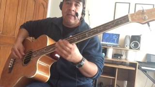 Video thumbnail for Michael Kelly Dragonfly Fretless by RochefortBass
