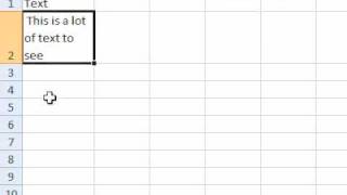 How to display multiple lines of text within a cell in Excel