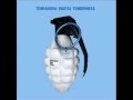 Terranova - The real thing (Cosmonauts of innerspace mix)