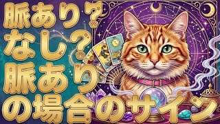 【タロット占い】脈あり？なし？脈ありの場合のサイン✨🐈💚💜🧡ー3択ー