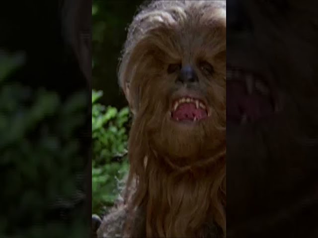 Vídeo relacionado con Star Wars Chewbacca Wookiee Striped Retrait Camiseta