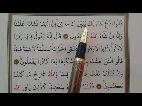 DERS-29(Bakara Süresi-(70,72)