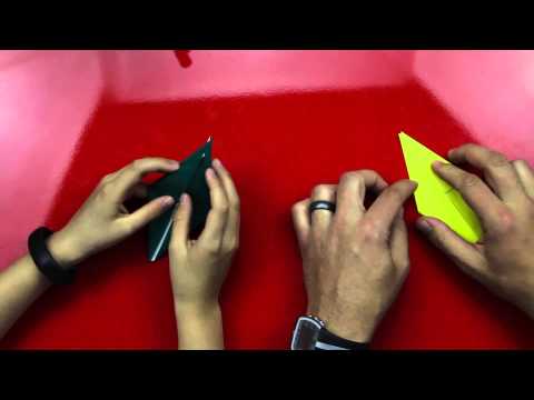 How To Fold A Flapping Crane