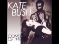Kate Bush - Constellation of The Heart (Edit)