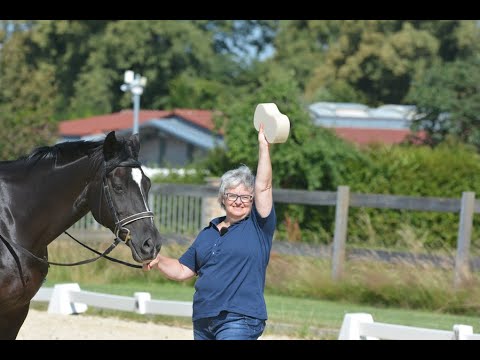 Der Trick gegen den Hüftknick - besser reiten mit Sibylle Wiemer