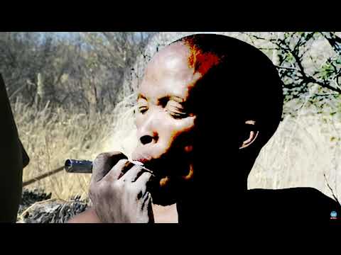 Fred Locks - Black Star Liner Dub (Vis the Spoon Extended Procrastination Mix)