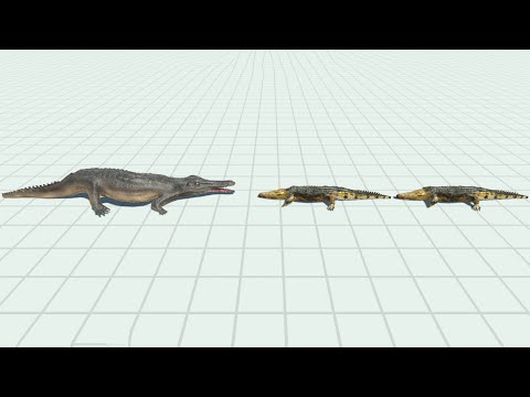 MACHIMOSAURUS vs 2x EVERY UNIT - Animal Revolt Battle Simulator