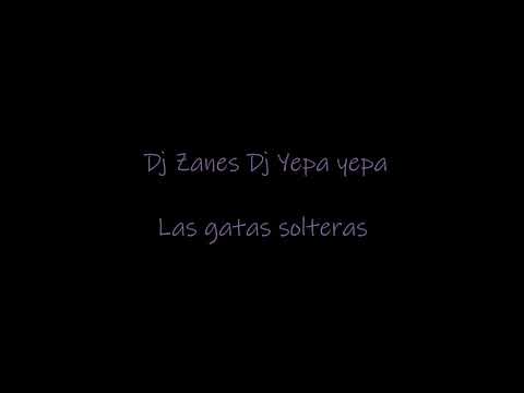Las gatas solteras Dj Zanes Dj Yepa yepa