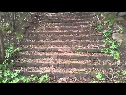 Den gamla trappan i skogen 03-05-2014