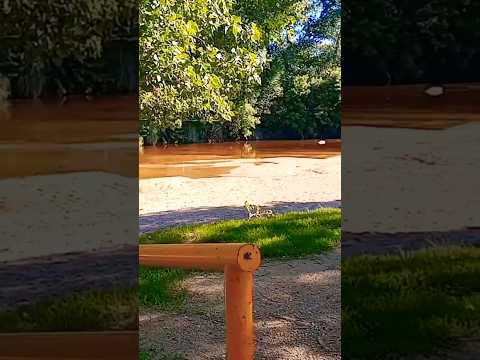 Río Panaholma en Cura Brochero, Traslasierras, Córdoba, Argentina.#curabrochero