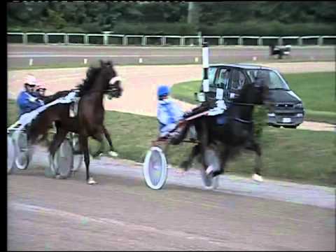 Trotto 29/10/2015 - 1° corsa