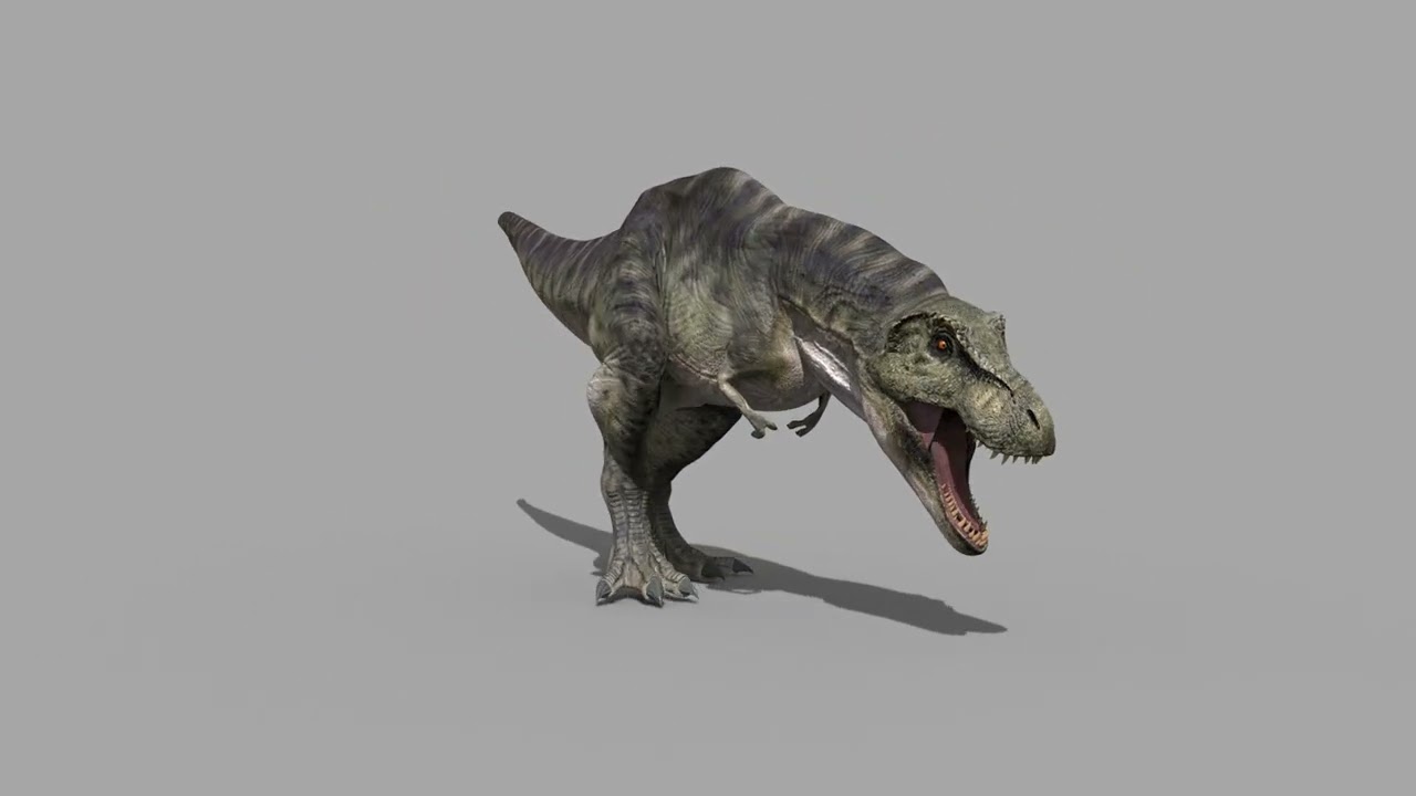 Accurate T Rex 8K - fully animated 3D Model