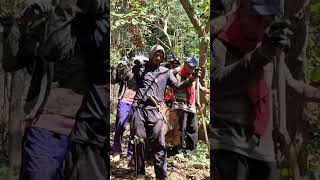 Download lagu Carrying large teak wood logs on the mountainside mp3 Download lagu Carrying large teak wood logs on the mountainside mp3