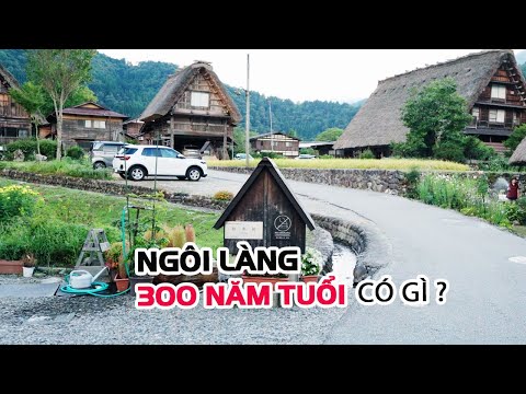 Machiko Tran Vlog