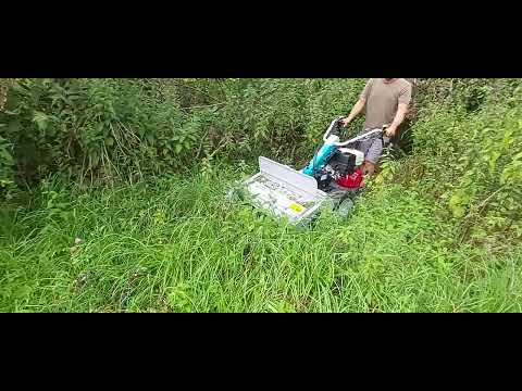 Bertolini BTS 65 Schlegelmulcher