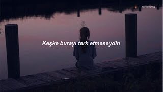 Lucidious - Moment of Silence (Türkçe Çeviri)