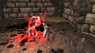 Severance Blade of Darkness Tombs of Ephyra Knight Gameplay  Level 4