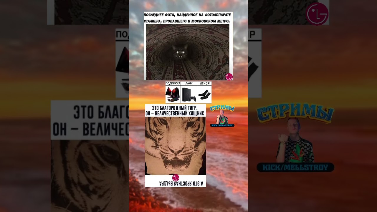 #remix #music #anime #nightcore #edm #memes #nuggets #bass #beats #мемы