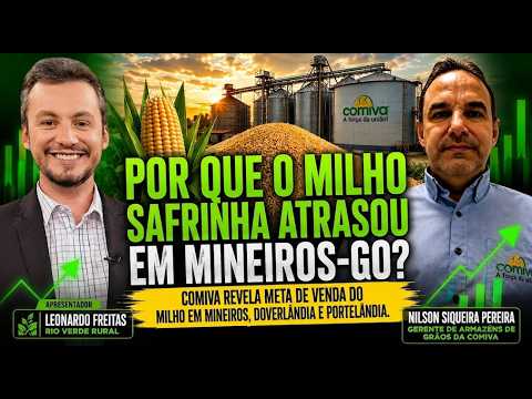 Safra de milho: Mineiros vs Doverlândia, qual a diferença?