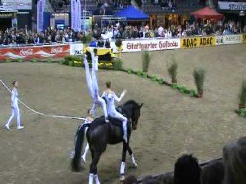 Platz 1, Team  Leonberg