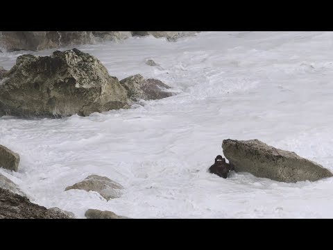 Aussie big-wave legend Ross Clarke-Jones nearly drowns in Portugal