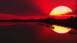 Avicii ft. Kygo - Circle of Life 2.0