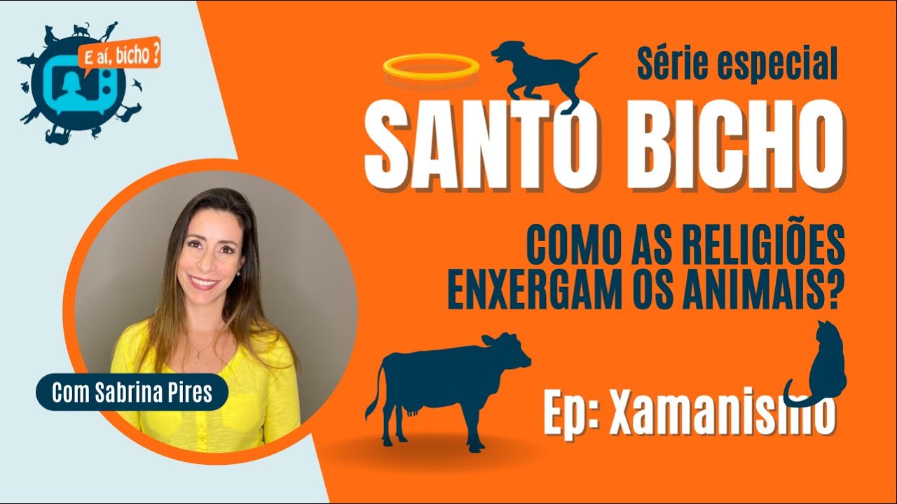 XAMANISMO E OS ANIMAIS: série - Santo Bicho